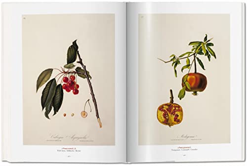 Garden Eden. Masterpieces of Botanical Illustration: Ile de France, Haute-Normandie, Picardie - Retail Maharaj