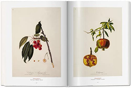 Garden Eden. Masterpieces of Botanical Illustration: Ile de France, Haute-Normandie, Picardie - Retail Maharaj