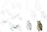 How to Draw: Mountain Animals: In Simple Steps - Retail Maharaj