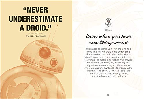 Star Wars I Love You. I Know. - Retail Maharaj