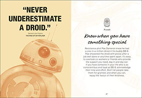 Star Wars I Love You. I Know. - Retail Maharaj