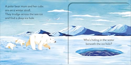 Pop-up Peekaboo! Winter: Pop-Up Surprise Under Every Flap! - Retail Maharaj