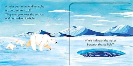 Pop-up Peekaboo! Winter: Pop-Up Surprise Under Every Flap! - Retail Maharaj