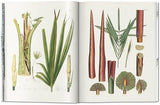 Martius. The Book of Palms - Retail Maharaj
