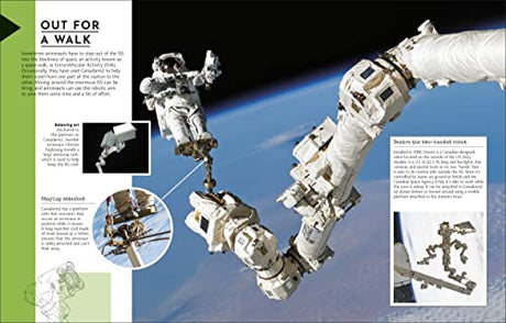 Behind the Scenes at the Space Station: Experience Life in Space (DK Behind the Scenes) - Retail Maharaj