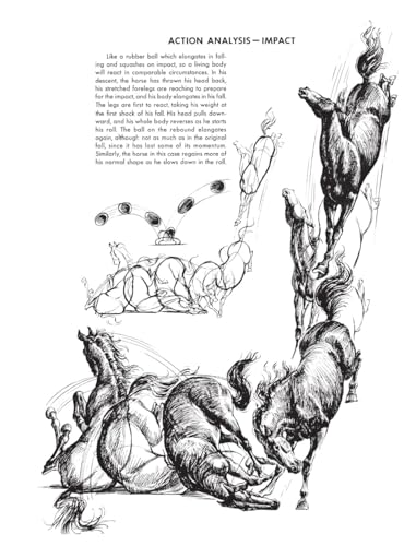 The Art of Animal Drawing: Construction, Action Analysis, Caricature - Retail Maharaj