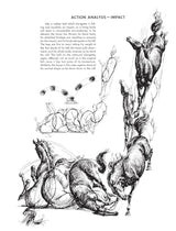 The Art of Animal Drawing: Construction, Action Analysis, Caricature - Retail Maharaj