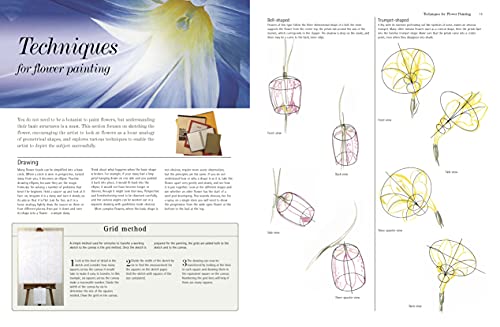 ACRYLIC FLOWER PAINTERS A TO Z - Retail Maharaj