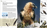 Chris Packham's Nature Handbook: Explore the Wonders of the Natural World - Retail Maharaj