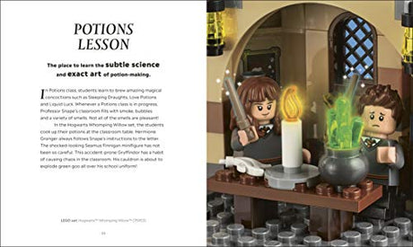 LEGO Harry Potter The Magical Guide to the Wizarding World (DK Bilingual Visual Dictionary) - Retail Maharaj