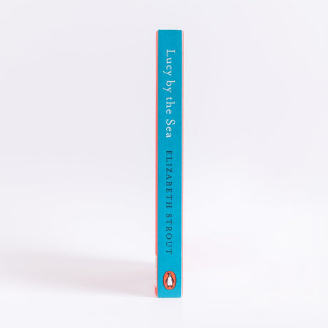 Lucy by the Sea: From the Booker-shortlisted author of Oh William! - Retail Maharaj