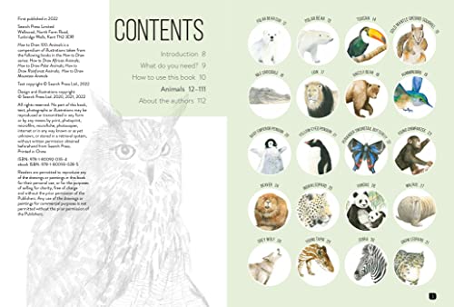 Draw 100: Animals - Retail Maharaj