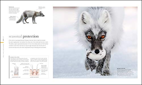 The Science of Animals - Retail Maharaj