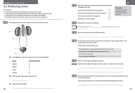 Lower Secondary Science Workbook: Stage 9 - Retail Maharaj