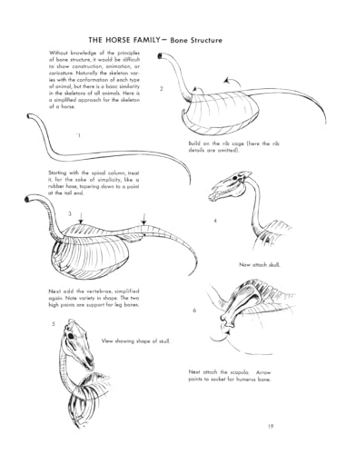 The Art of Animal Drawing: Construction, Action Analysis, Caricature - Retail Maharaj