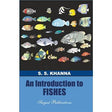 Introduction To Fisheh - Retail Maharaj