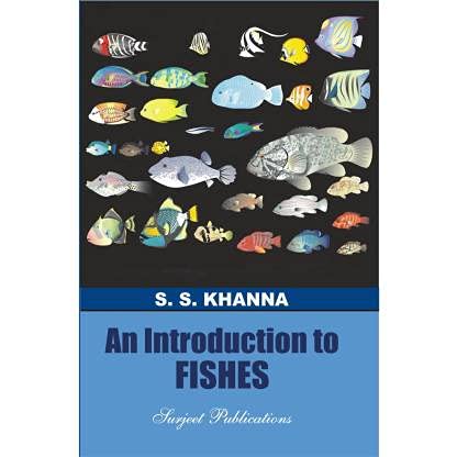 Introduction To Fisheh - Retail Maharaj