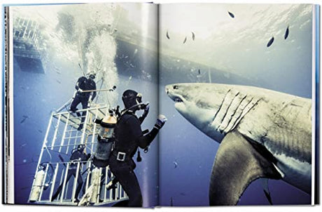 Michael Muller. Sharks - Retail Maharaj