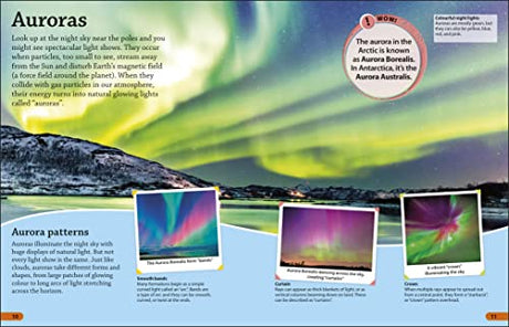 DKFindout! Arctic and Antarctic - Retail Maharaj