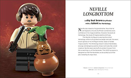 LEGO Harry Potter The Magical Guide to the Wizarding World (DK Bilingual Visual Dictionary) - Retail Maharaj