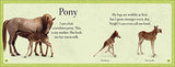 See How They Grow Pets - Retail Maharaj