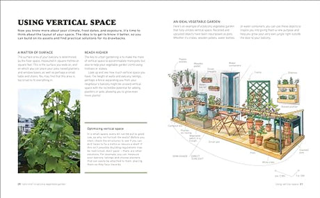 Tomatoes and Basil on the 5th Floor (The Frenchie Gardener): All You Need for a Bountiful Balcony Harvest - Retail Maharaj