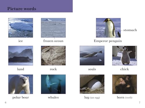 BBC Earth: Ice Worlds- Ladybird Readers Level 3 - Retail Maharaj