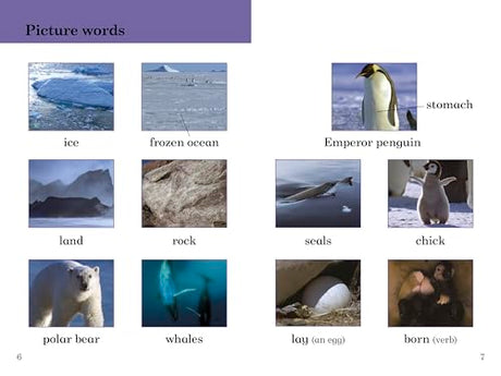 BBC Earth: Ice Worlds- Ladybird Readers Level 3 - Retail Maharaj