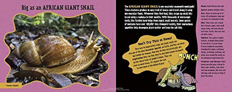 Big as a Giant Snail - Retail Maharaj