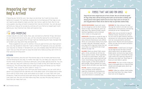Dog Training for Kids: Fun and Easy Ways to Care for Your Furry Friend - Retail Maharaj