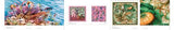 Marylene Madou: Prints & Patterns - Retail Maharaj