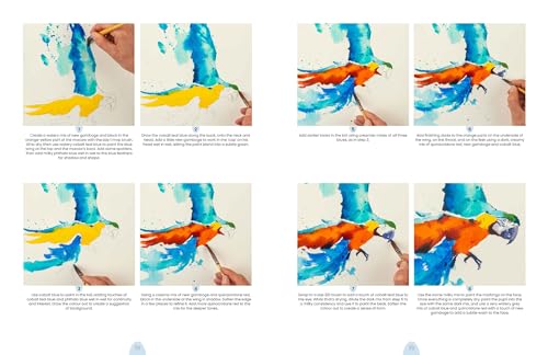 Simply Paint Birds: A Complete Watercolour Course for Beginners - Retail Maharaj