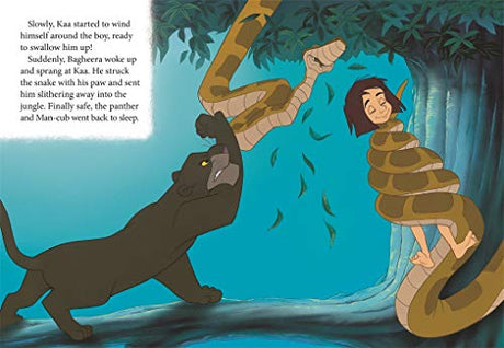 Disney The Jungle Book - Retail Maharaj