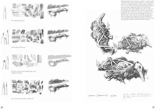Drawing Nature: A Complete Guide (Art of Drawing) - Retail Maharaj