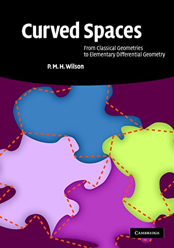 CURVED SPACES: FROM CLASSICAL GEOMETRIES TO ELEMENTARY DIFFERENTIAL GEOMETRY - Retail Maharaj