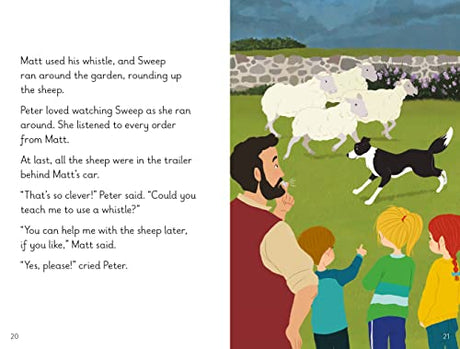 Key Words LVL : 11c : The Lost Sheep (Key Words with Peter and Jane) - Retail Maharaj