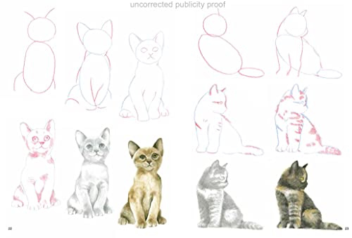 How to Draw: Kittens - Retail Maharaj