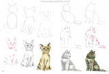 How to Draw: Kittens - Retail Maharaj