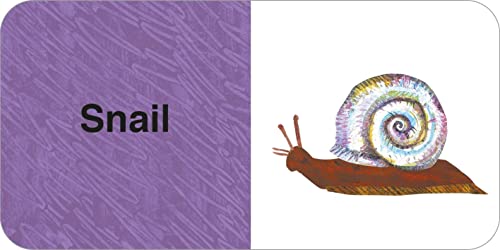 The World of Eric Carle: Big Box of Little Books - Retail Maharaj