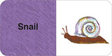 The World of Eric Carle: Big Box of Little Books - Retail Maharaj
