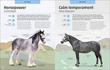 Horses & Ponies: Everything You Need to Know, From Bridles and Breeds to Jodhpurs and Jumping! - Retail Maharaj