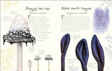 An Anthology of Fungi: A Collection of 100 Mushrooms, Toadstools and Other Fungi - Retail Maharaj