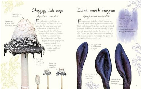 An Anthology of Fungi: A Collection of 100 Mushrooms, Toadstools and Other Fungi - Retail Maharaj