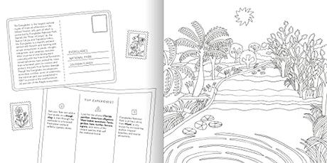 Road Trip! Coloring Book: Color Your Way to National Parks, Landmarks, and Roadside Attractions: A Coloring Book - Retail Maharaj