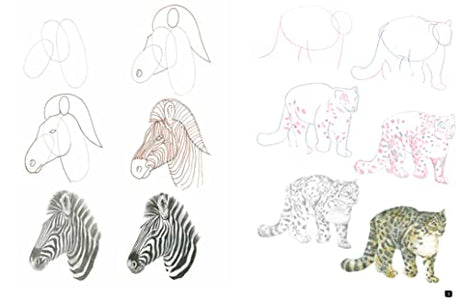 Draw 100: Animals - Retail Maharaj