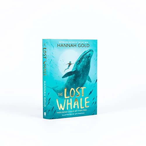 The Lost Whale - Retail Maharaj