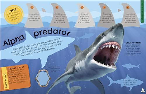 The Fact-Packed Activity Book: Sharks and Other Sea Creatures - Retail Maharaj