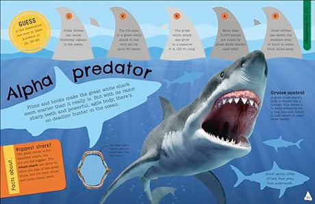 The Fact-Packed Activity Book: Sharks and Other Sea Creatures - Retail Maharaj