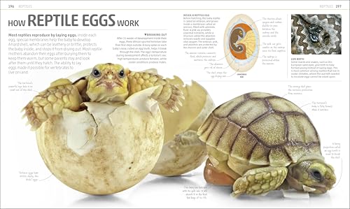 Explanatorium of Nature: Where the Wonders of the World are Revealed - Retail Maharaj
