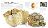 Explanatorium of Nature: Where the Wonders of the World are Revealed - Retail Maharaj